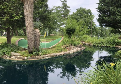 What is the Cost of Using a Sports Center in Fairfax County?